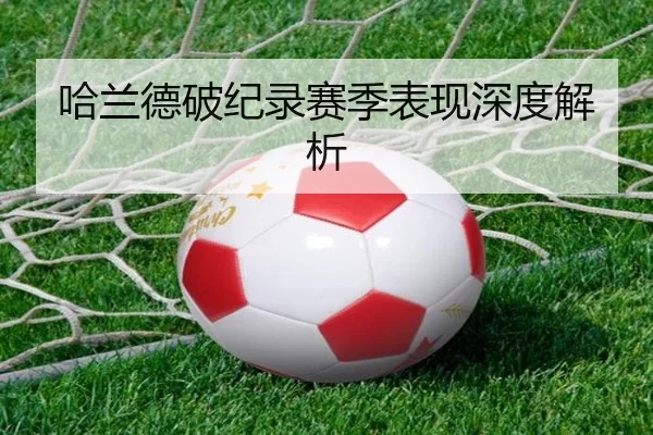 哈兰德破纪录赛季表现深度解析