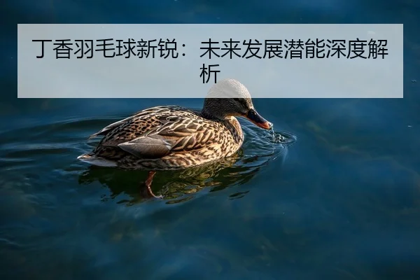 丁香羽毛球新锐：未来发展潜能深度解析